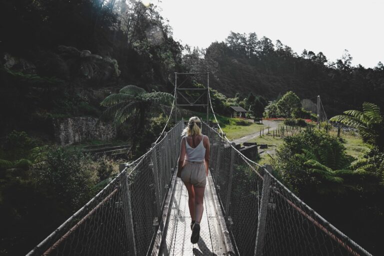 Photo Rainforest trek