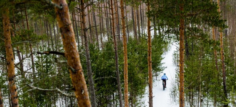 Photo Mountain bike